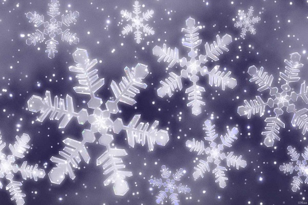 snowcrystal5B15D.jpg